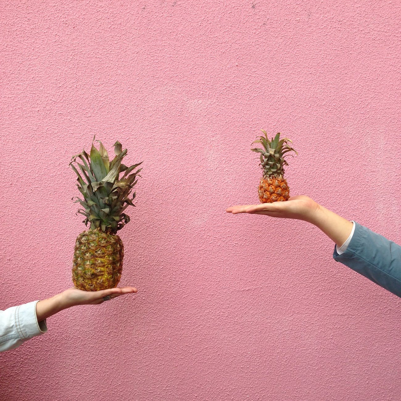 two people holding pineapple fruit on their palm